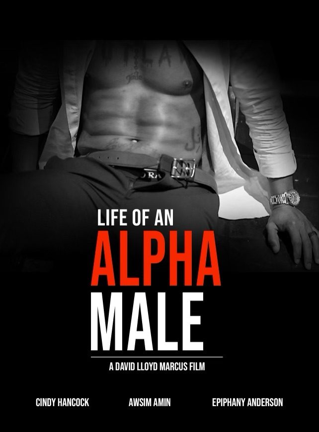 Life of an Alpha Male poster